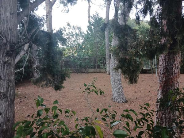 Terreno en Desconocido