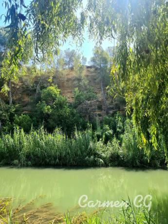 Terreno en La Cañada