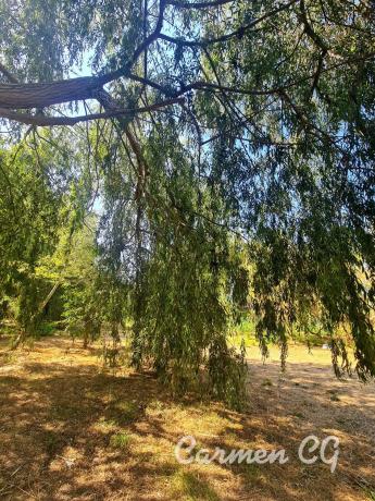 Terreno en La Cañada