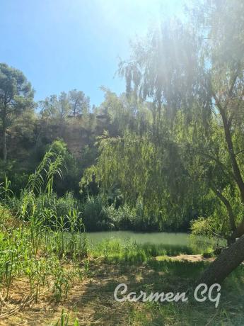 Terreno en La Cañada