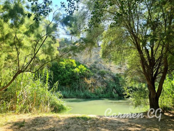 Terreno en La Cañada