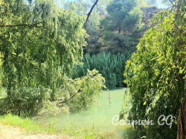 Terreno en La Cañada