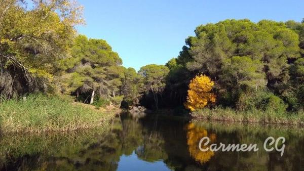Terreno en La Cañada