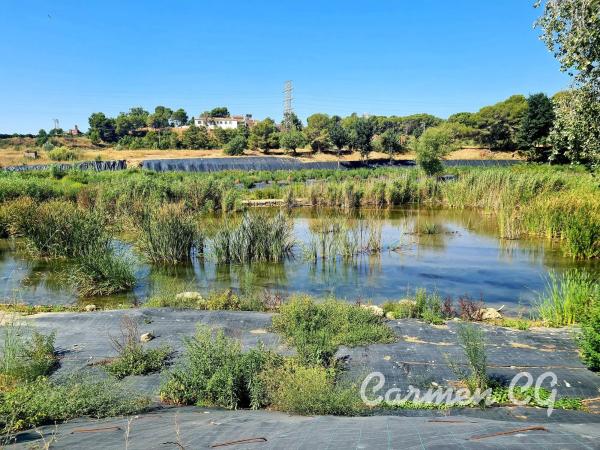 Terreno en La Cañada