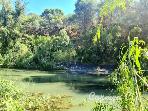 Terreno en La Cañada