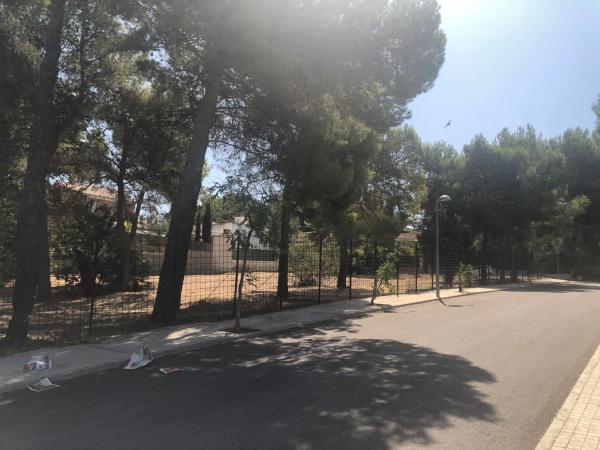 Terreno en calle 408 s/n