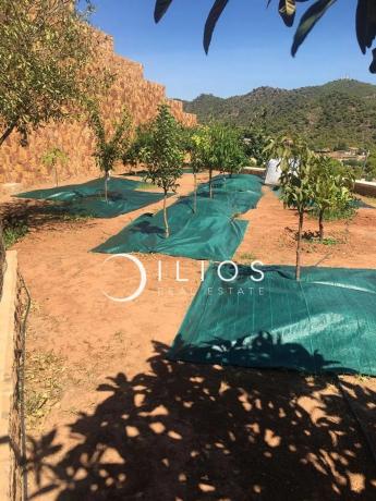 Terreno en Los Monasterios-Alfinach