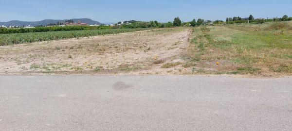 Terreno en Partida Cebolleta, 6