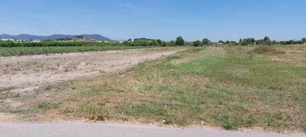 Terreno en Partida Cebolleta, 6