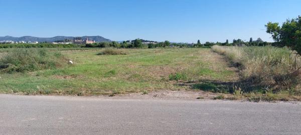 Terreno en Partida Cebolleta, 6