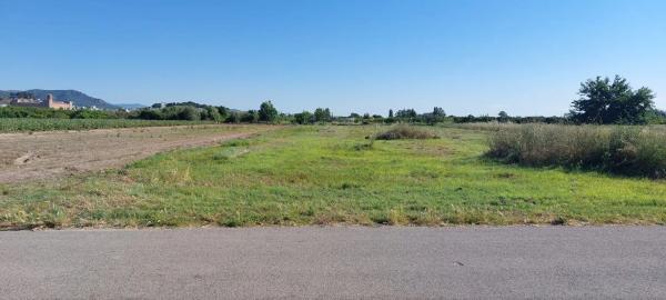 Terreno en Partida Cebolleta, 6