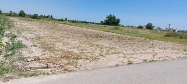 Terreno en Partida Cebolleta, 6