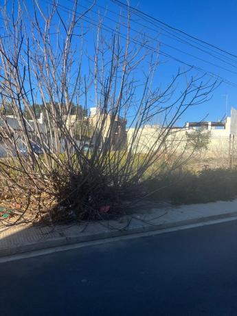 Terreno en calle Estanislao de Algimia, 4