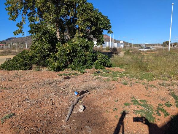 Terreno en calle Llimeres, 1