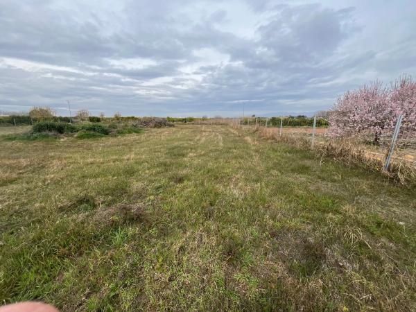 Terreno en camino de Santa Maria s/n