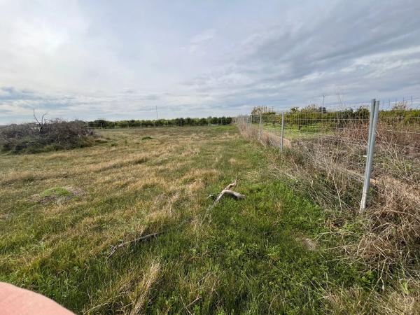 Terreno en camino de Santa Maria s/n