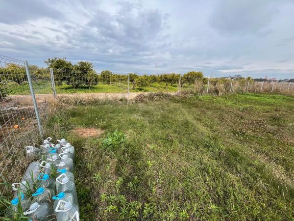 Terreno en camino de Santa Maria s/n