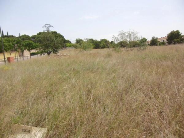 Terreno en camino Ermita Nova