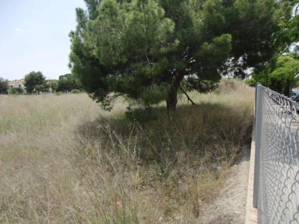 Terreno en camino Ermita Nova