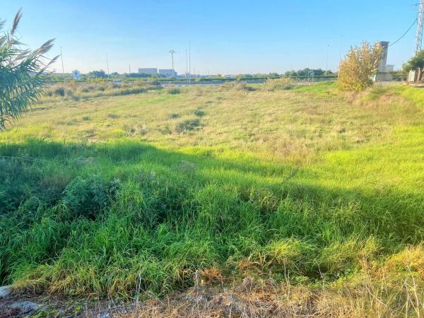 Terreno en Partida Drago, 2