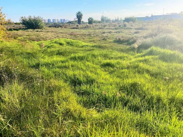 Terreno en Partida Drago, 2