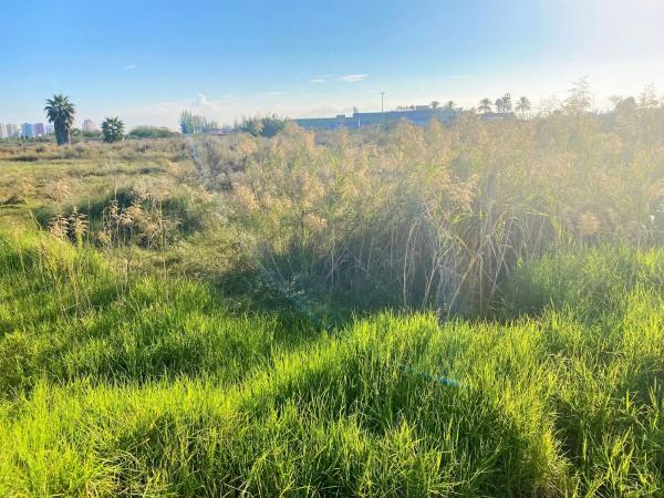 Terreno en Partida Drago, 2