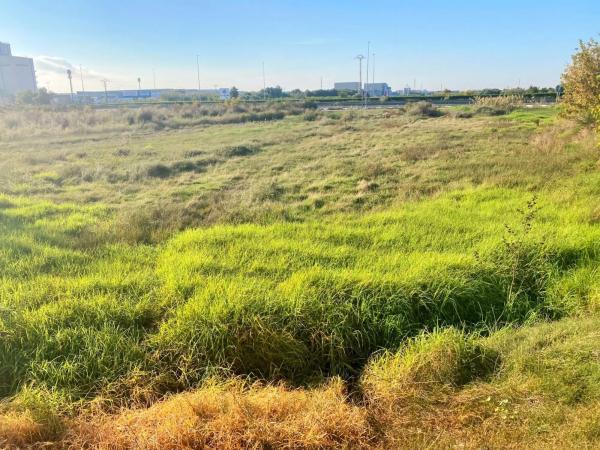 Terreno en Partida Drago, 2