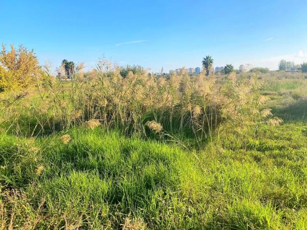 Terreno en Partida Drago, 2