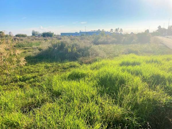 Terreno en Partida Drago, 2