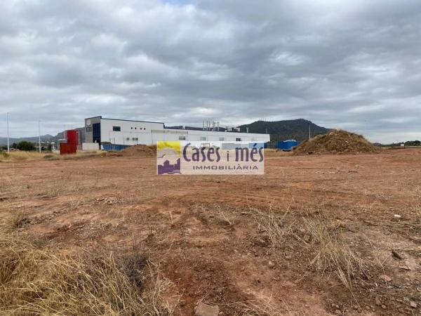 Terreno en Zona Alta