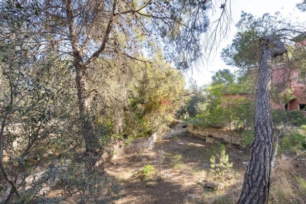 Terreno en camino Ermita Nova