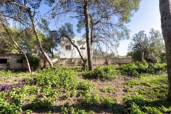 Terreno en camino Ermita Nova