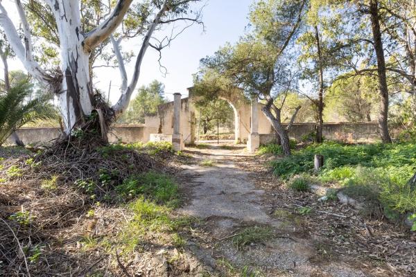 Terreno en camino Ermita Nova