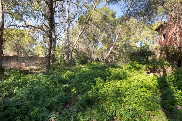 Terreno en camino Ermita Nova