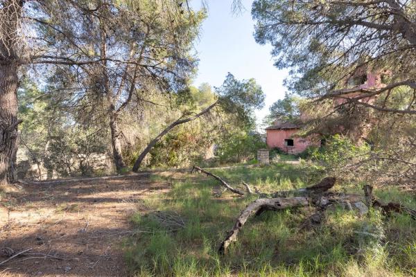Terreno en camino Ermita Nova