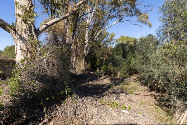 Terreno en camino Ermita Nova