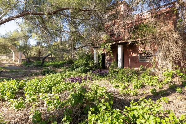 Terreno en camino Ermita Nova