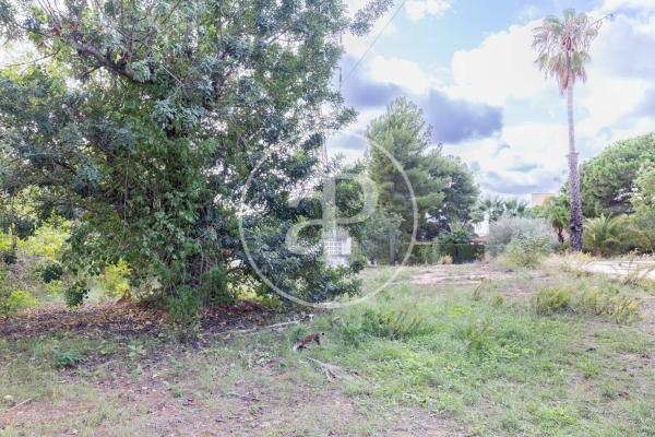 Terreno en Nueva Santa Barbara