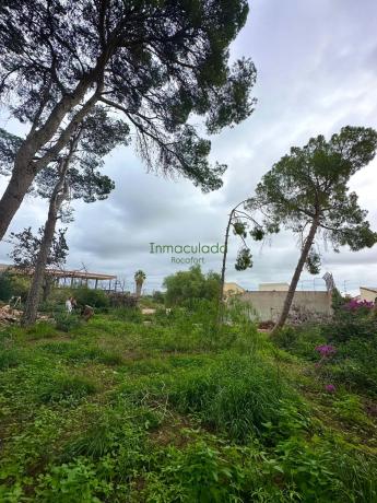 Terreno en camino de la Cossa