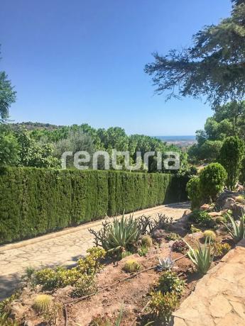 Terreno en calle Serrans