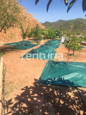 Terreno en calle Serrans