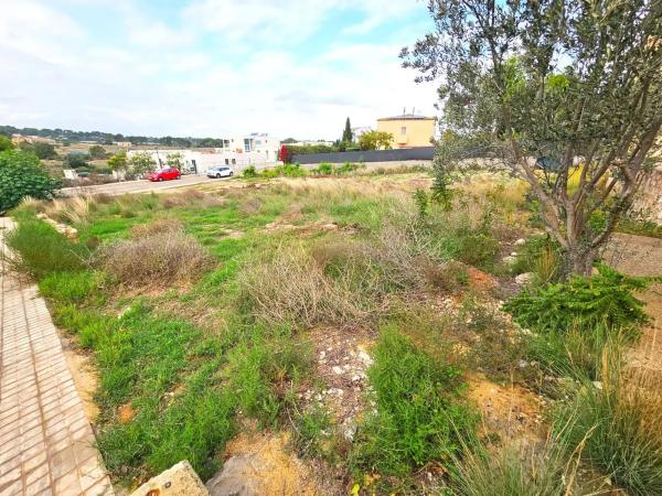 Terreno en calle Sèquia de Tormos