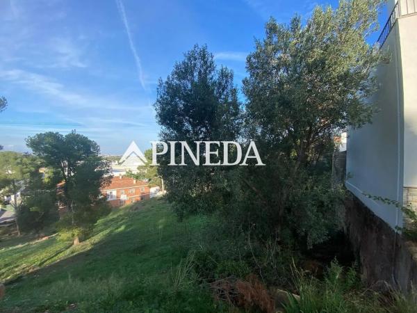 Terreno en calle Mestre Serrano