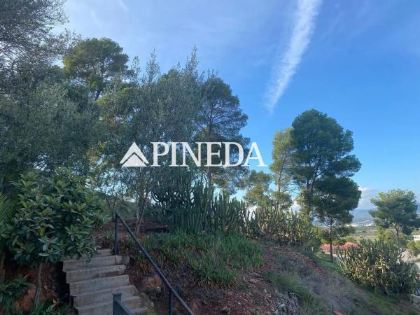 Terreno en calle Mestre Serrano