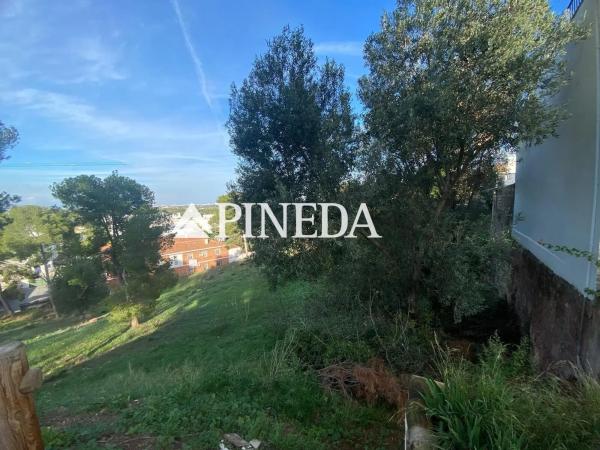 Terreno en calle Mestre Serrano