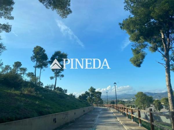 Terreno en calle Mestre Serrano