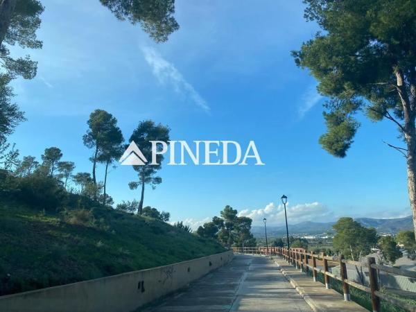 Terreno en calle Mestre Serrano