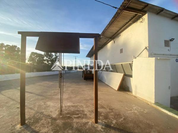 Terreno en camino els Plans