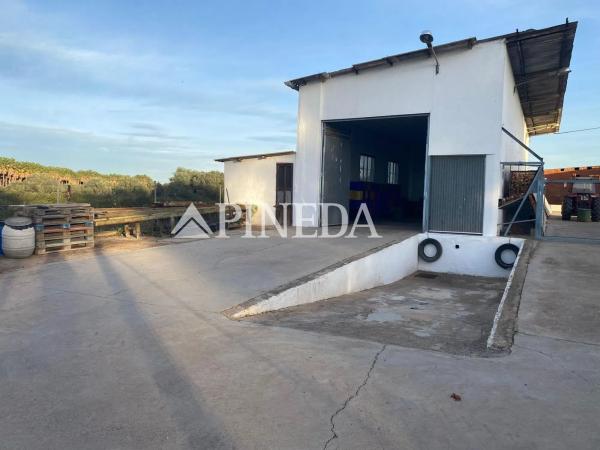 Terreno en camino els Plans