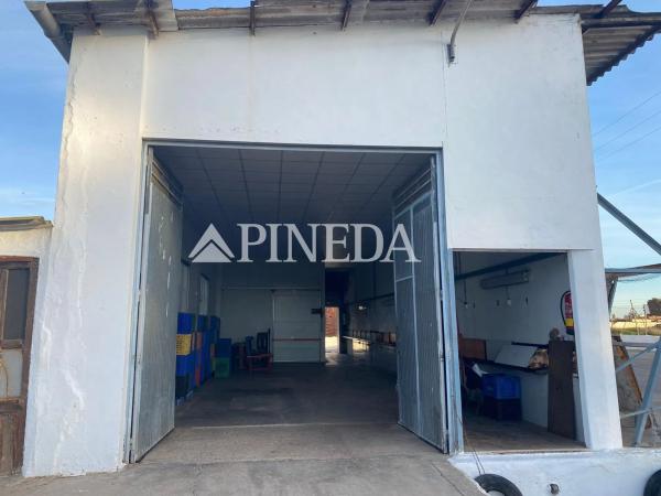 Terreno en camino els Plans